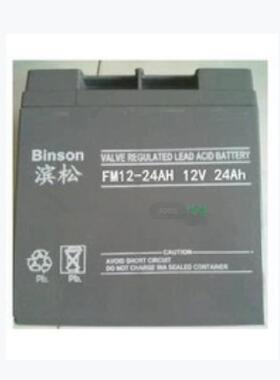 BINSON蓄电池12V24AH 免维护FM12-24AH直流屏消防UPS储能电源