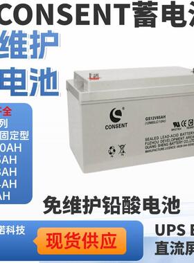 T光盛蓄电池GS12V65AH阀控式免维护12V65AH机房储能备用