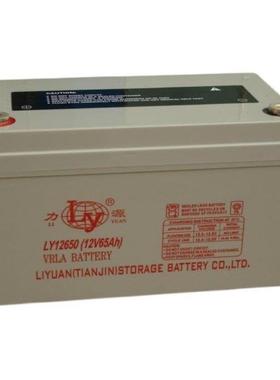 铅酸蓄电池LY12650 12V65AH消防照明  通信系统 UPS电源配套