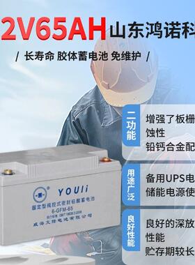 YOULI蓄电池6-GFM-65 纯铅隔板型电瓶12V65AHUPS系统应急电源