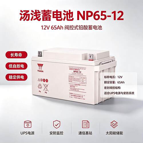 汤浅蓄电池NP65-12储能12V65AH直流屏光伏UPS/EPS应急电源照明
