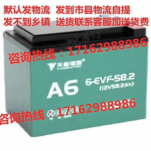 全新天能电动车蓄电池6-EVF-58.2