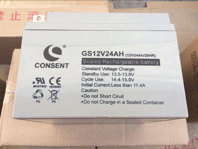 CONSENT蓄电池12V24AH 应急照明UPS电源 光盛蓄电池GS12V24AH