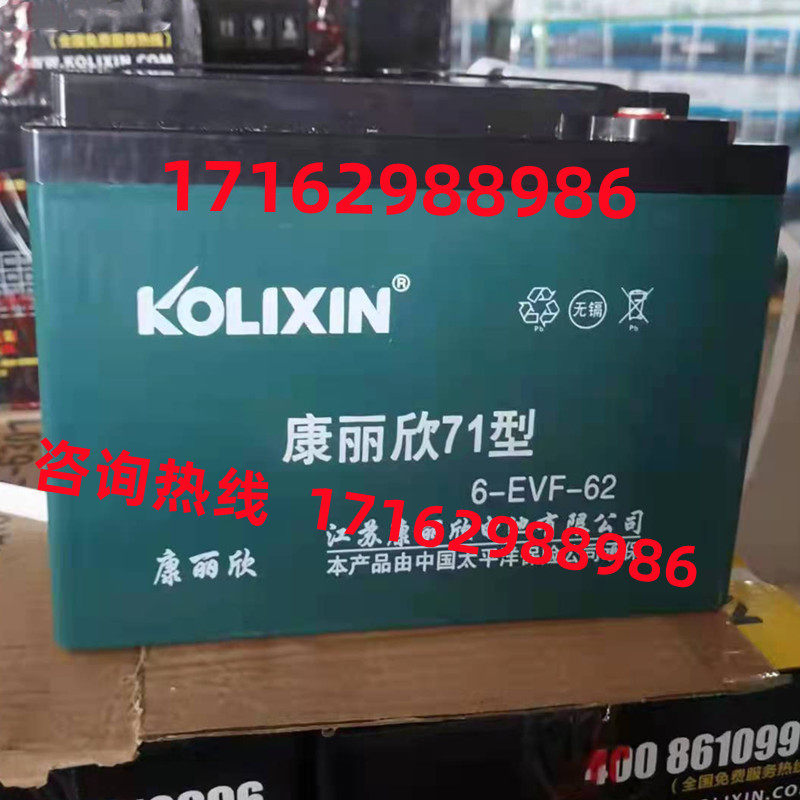 康丽欣电动车铅酸电瓶6-EVF-62