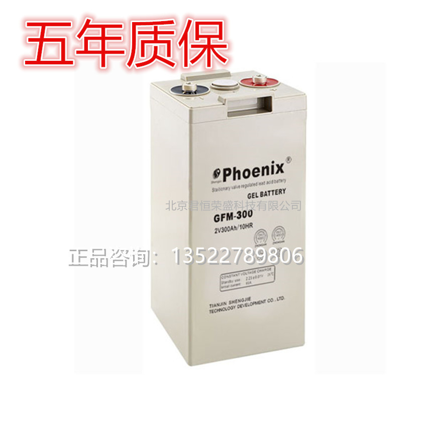 Phoenix凤凰蓄电池GFM-300全新