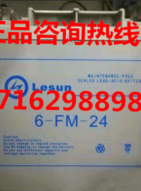 Lesun蓄电池6-FM-24 铅酸免维护电池12V24AH适用于UPS/EPS 太阳能