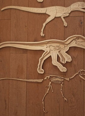 波兰stukapuka手工木制拼图儿童益智立体积木恐龙骨骼结构拼图拼