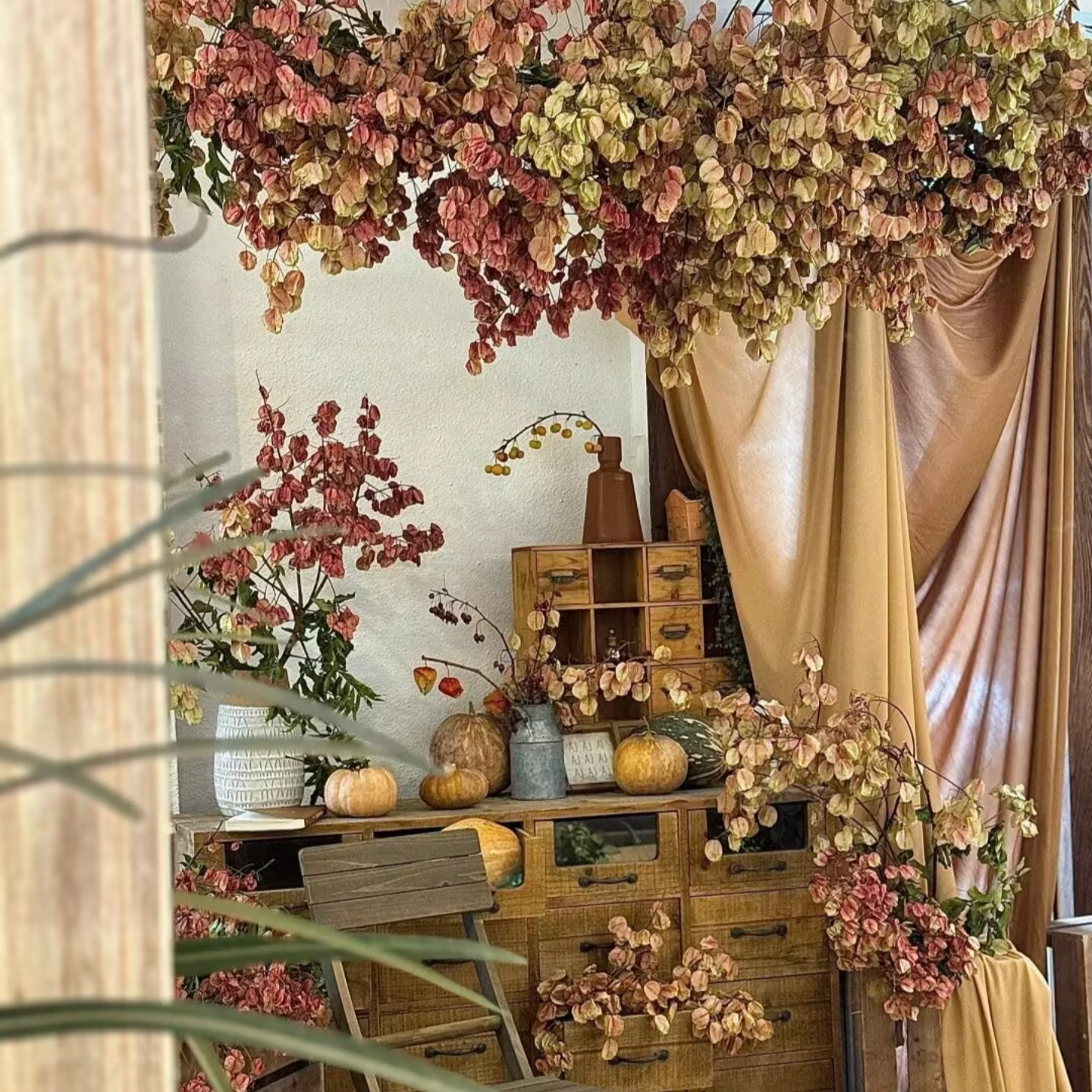 秋冬店铺栾树灯笼果花艺装饰氛围布置咖色布幔室内打卡区造景摆件,节庆用品/礼品,装扮布置套餐,淘宝优惠券,粉丝福利购,淘宝优惠卷