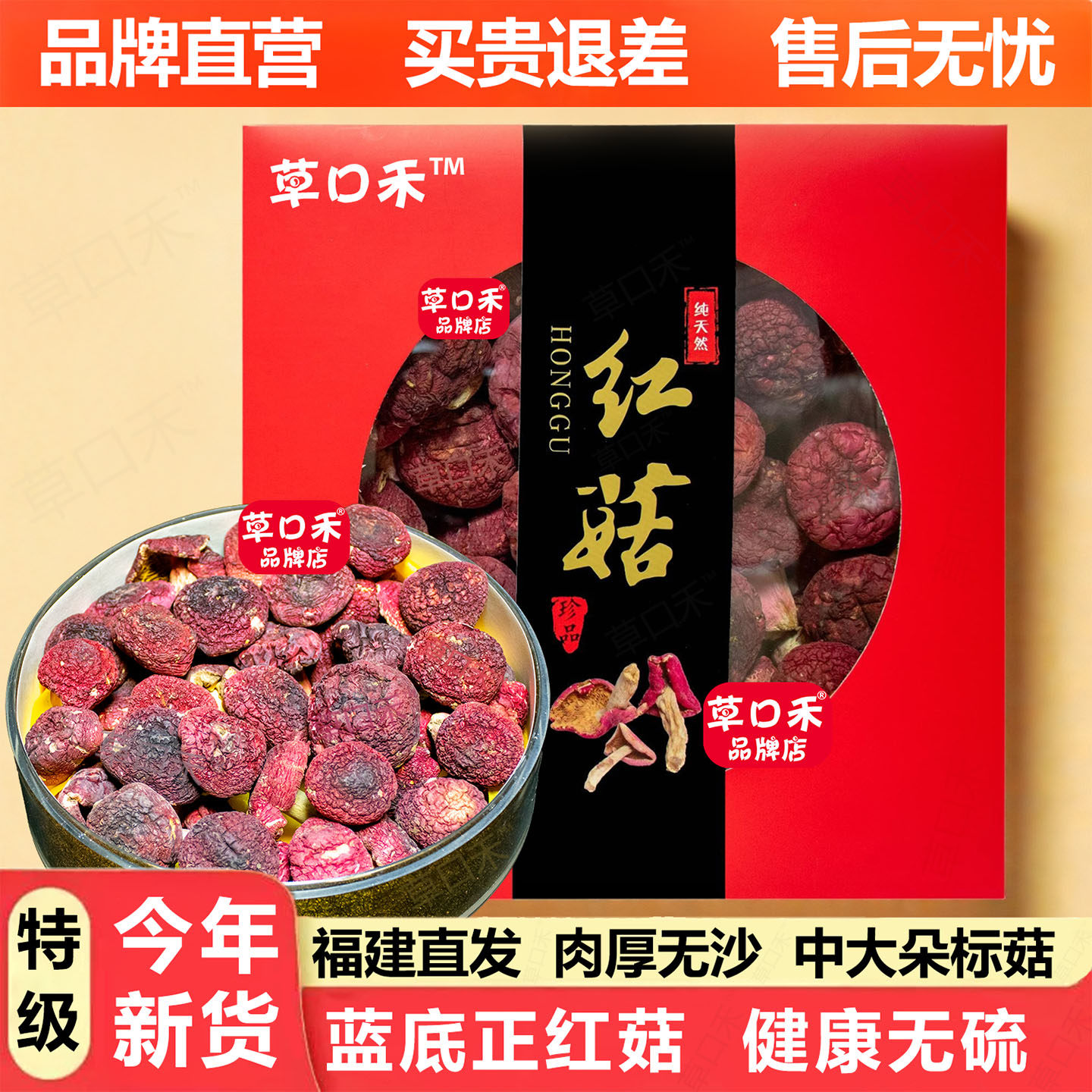 草口禾红菇福建野生三明正宗蓝底红姑月子红蘑菇特级干货红椎菌