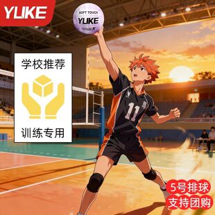羽克排球5号中考专用球经典标准款沙滩软排中学生训练考试戏水球