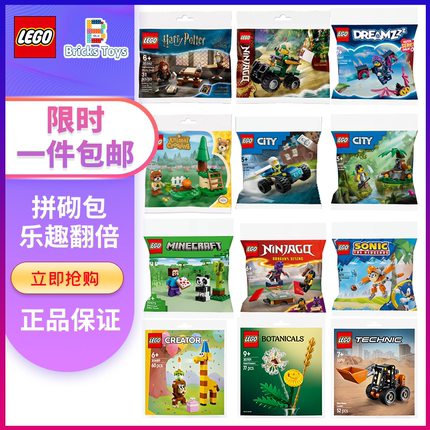 LEGO乐高拼砌包30710 30703 30706 30699拼插搭积木儿童玩具礼物