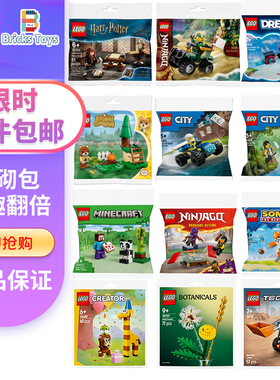 LEGO乐高拼砌包30710 30703 30706 30699拼插搭积木儿童玩具礼物