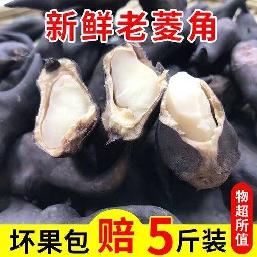 新鲜菱角5斤粉糯老菱角棱角凌角大青菱角菱角米新鲜洪湖菱角包邮