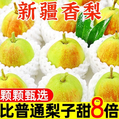 红香酥梨5/10斤装应季梨子