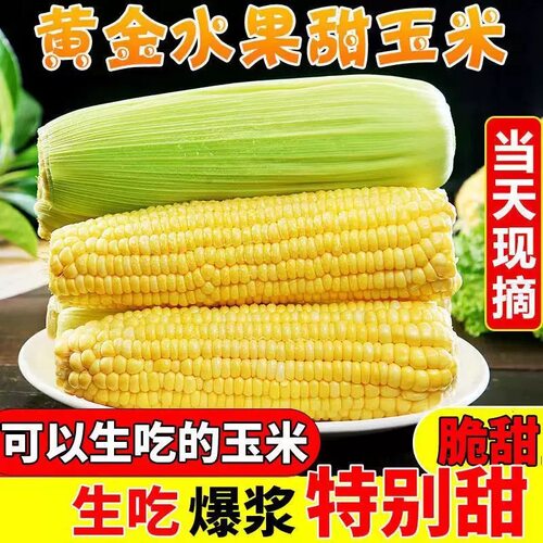 新鲜广西水果玉米现摘现发