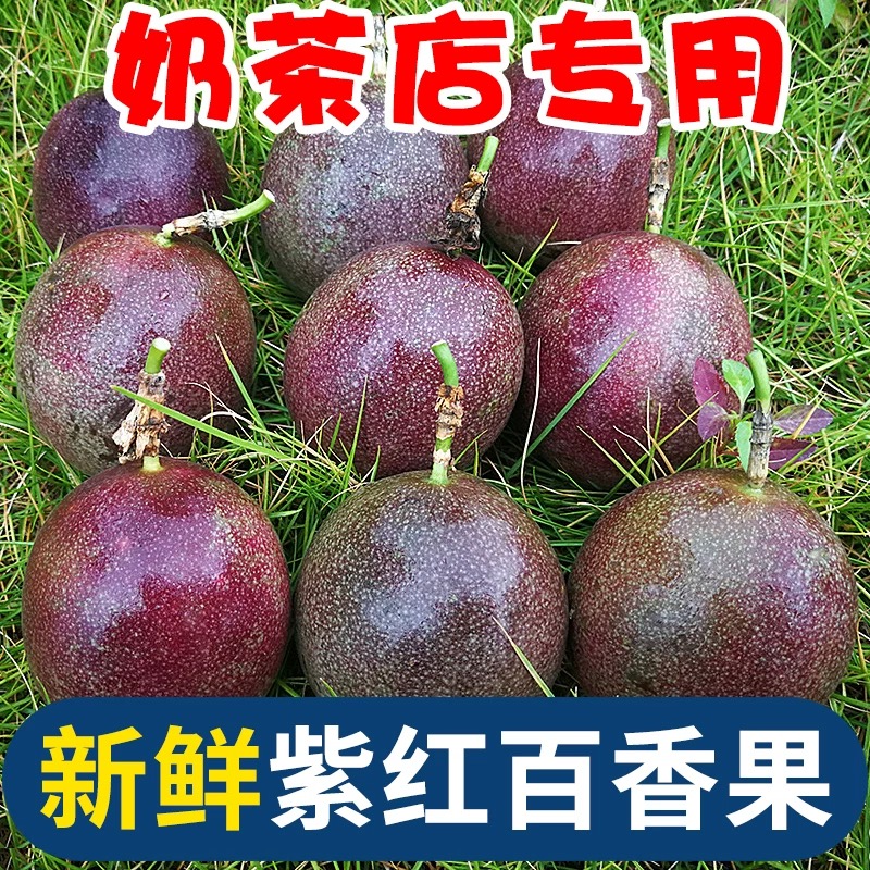 广西百香果新鲜5斤大果包邮
