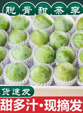 广西奈李现摘脆甜5斤大果