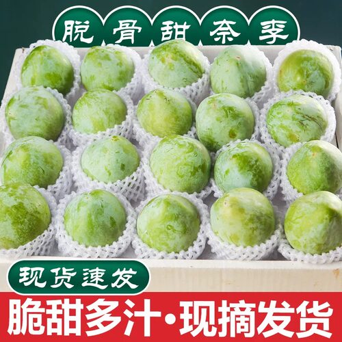 广西奈李现摘脆甜5斤大果