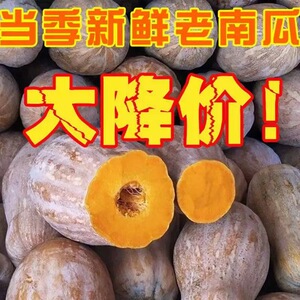 正宗奶油南瓜粉糯香甜老南瓜