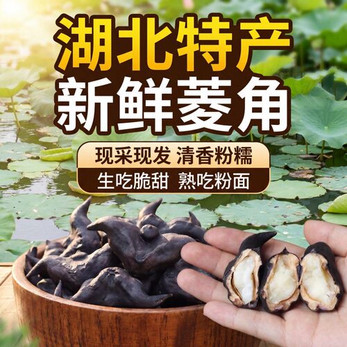 湖北洪湖新鲜粉糯老菱角5斤包邮