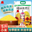 福润东方黄小米内蒙古赤峰糯小米杂粮2025年小米粥小黄米新米5斤