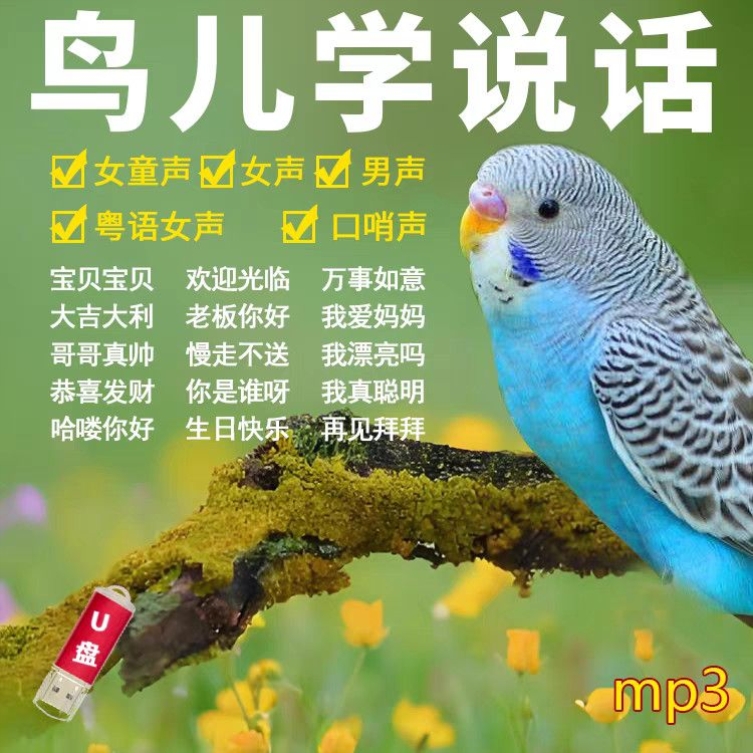 教鸟儿说话教鸟儿说话优盘清晰话语mp3音频收音机音箱随身听专用