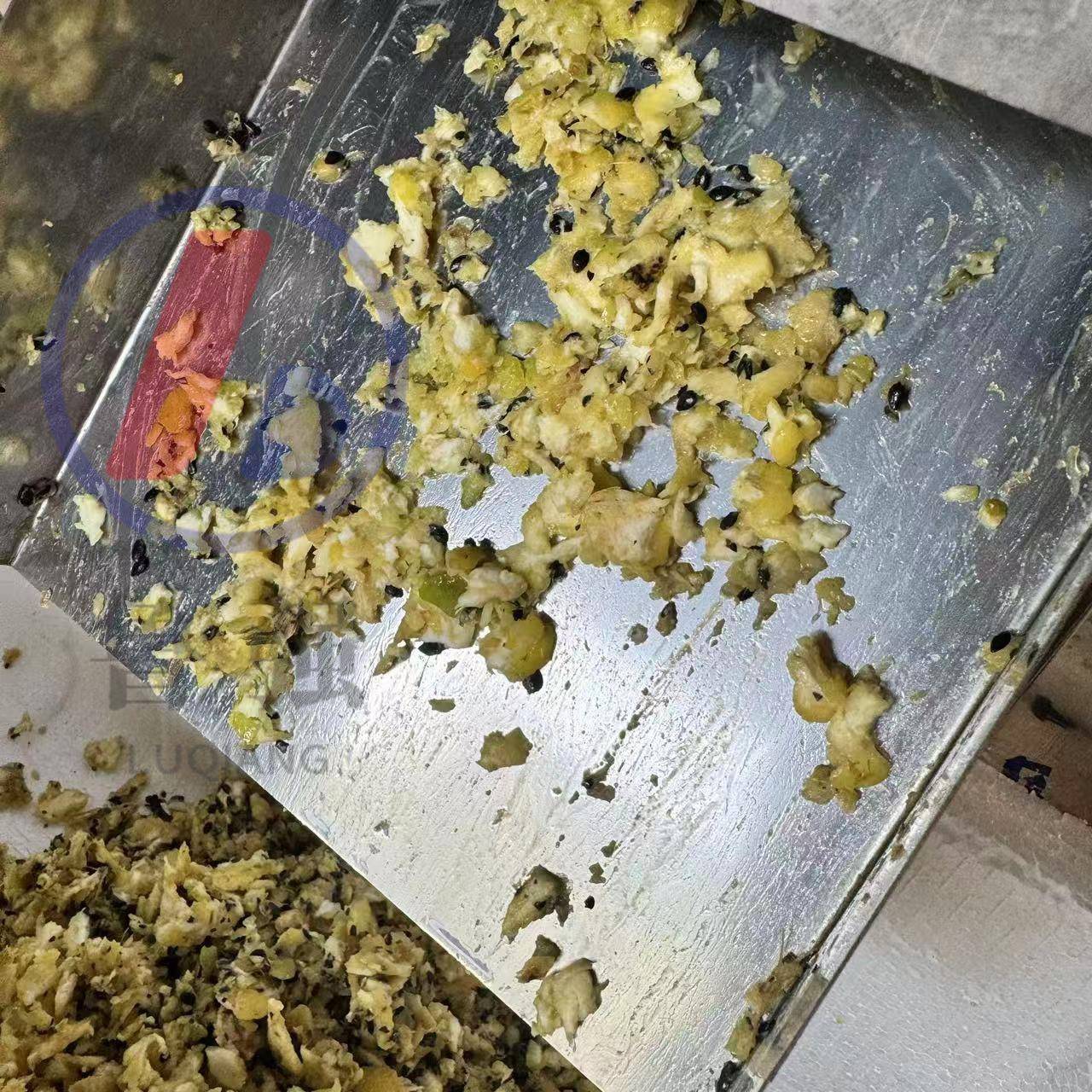 螺旋式榨汁机全自动果蔬渣汁机螺旋果蔬渣汁机厂家