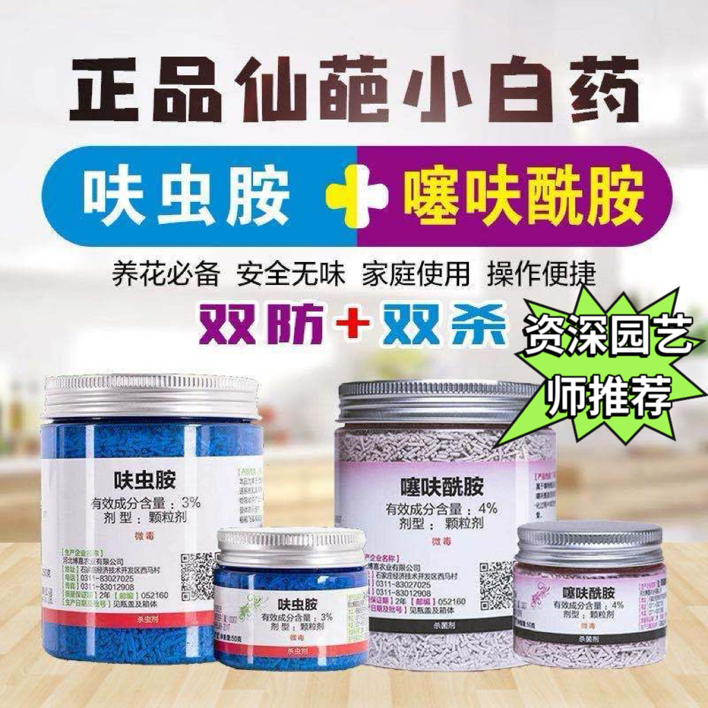 仙葩小白药小粉药杀虫剂除月季花卉蚧壳虫蚜虫蓟马多肉黑斑病农药