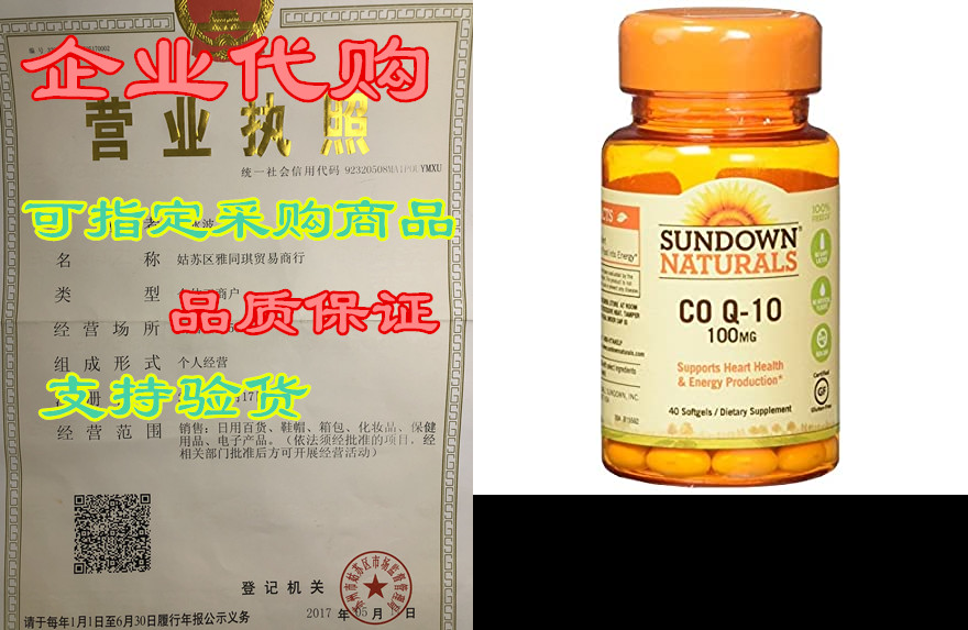 Sundown Naturals CoQ10 100 Mg Softgels 40 Count