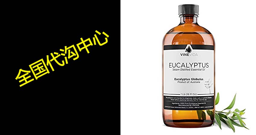 bulk eucalyptus globulus essential oil - 16 oz eucalyptus