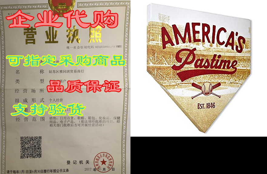 collectible canvas americas pastime home plates, sports