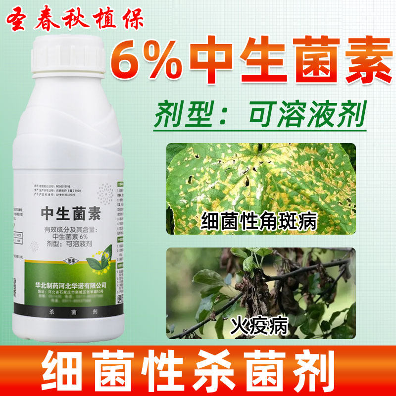 6%中生菌素黄瓜姜梨树溃疡细菌性角斑病火疫青枯软腐病农药杀菌剂