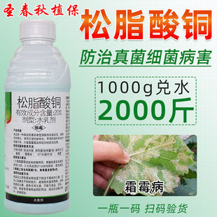 松脂酸铜柑橘溃疡病烟草野火病白菜软腐病樱桃树穿孔病角斑病农药