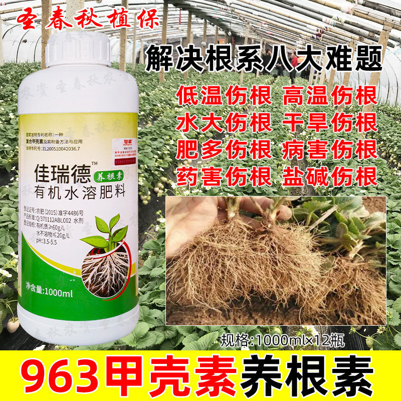 阿波罗养根素生根壮苗