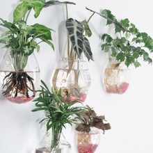 飾 多肉花盆吊蘭佛珠水培盆白色圓肚陶瓷懸掛垂吊約室內裝 壁掛式