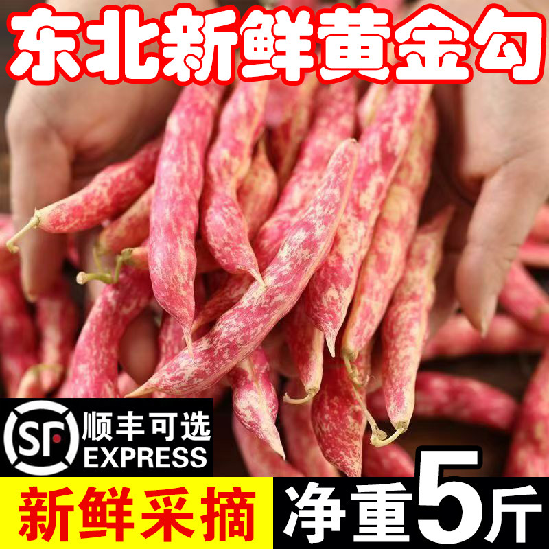 东北特产黄金勾红腰豆现摘现发自然成熟头茬红金勾鼓豆整箱包邮
