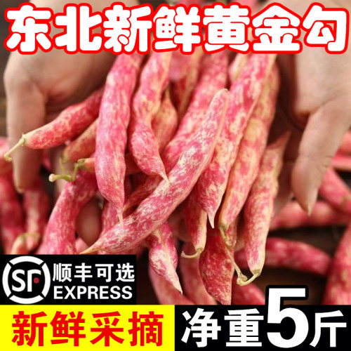 东北特产红金勾现摘现发