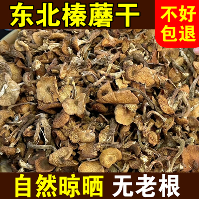 东北特产野生榛蘑干货日晒山珍臻蘑干松蘑干货年货礼盒500g包邮