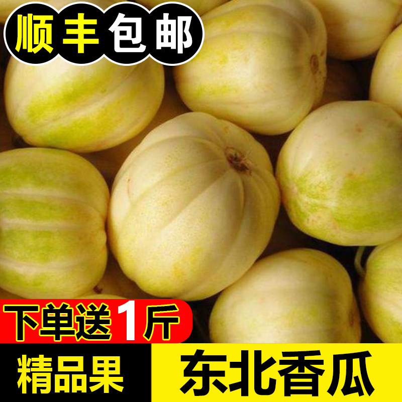 正宗东北香瓜产地直发