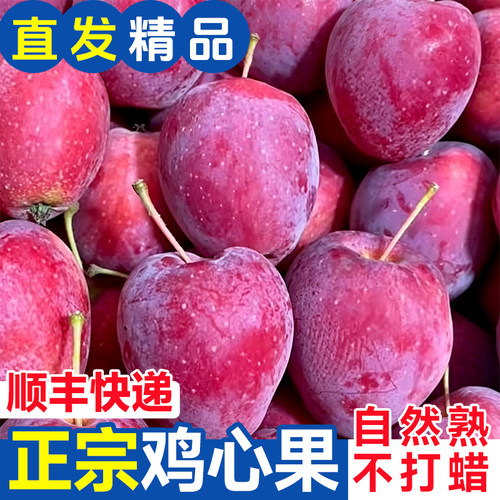 东北特产鸡心果沙果锦绣海棠果应当季孕妇水果整箱包邮小苹果秋果