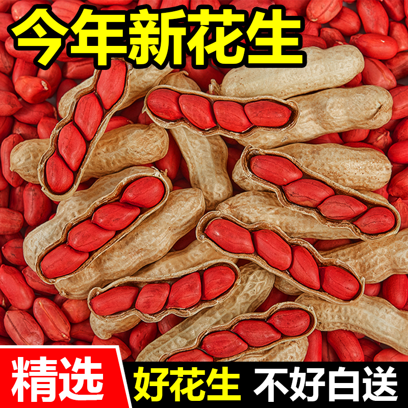 2025红衣新鲜红皮花生花生带壳