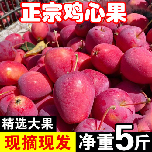 小孟锦州鸡心果脆甜多汁