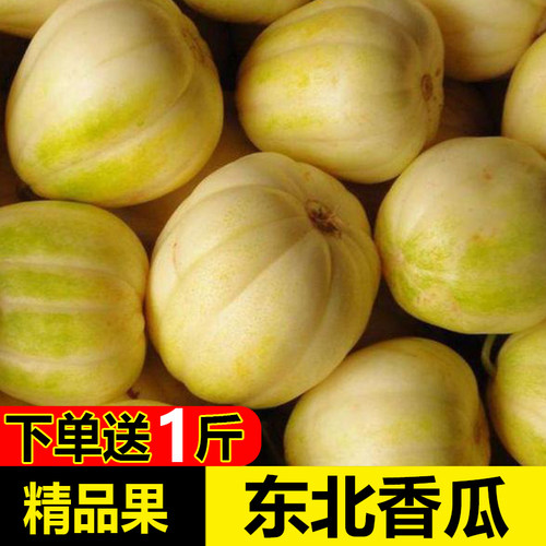 正宗东北香瓜下单送一斤