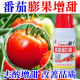 番茄增甜膨大素水果果树膨果着色坐果灵西红柿肥料水溶叶面肥专用