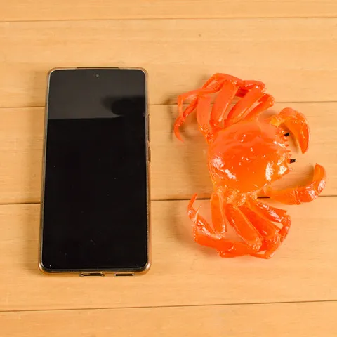 食品模型食玩搞怪道具PVC青蟹道具仿真仿真大闸蟹螃蟹仿真创意