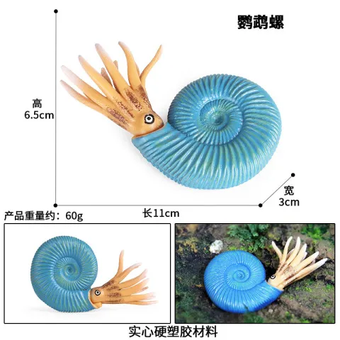 儿童模型动物模型田螺远古鹦鹉螺生物海洋玩偶摆件玩具海螺仿真