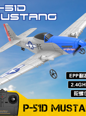 欧兰斯遥控飞机二通道战斗机新手入门航模野马P51D双电机儿童玩具