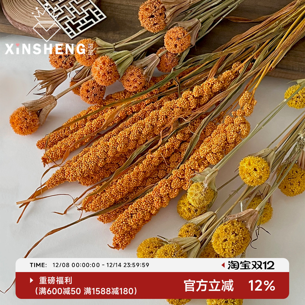 芯苼月满丰收·干花秋意满满