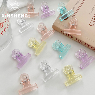 材料 鲜花束多巴胺配件多功能便签夹花艺包装 芯苼 透明长尾卡片夹