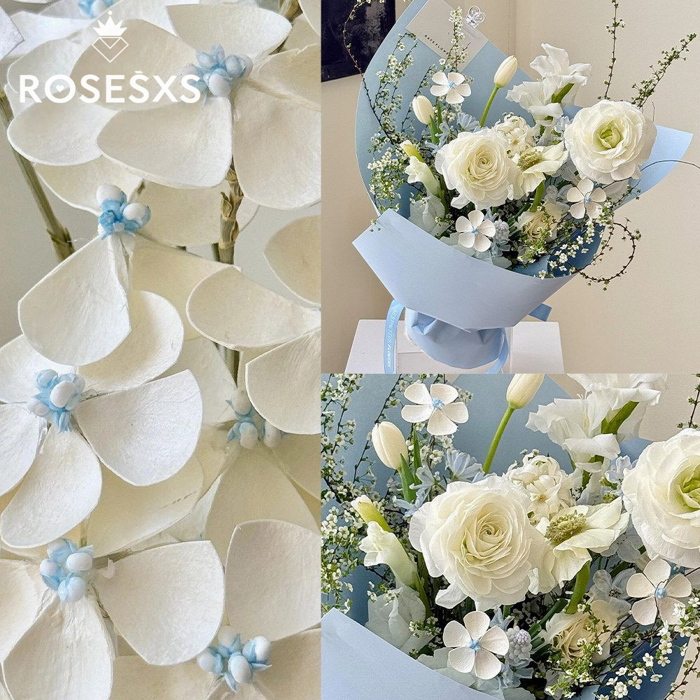 芯苼蓝星花干花花艺资材图片